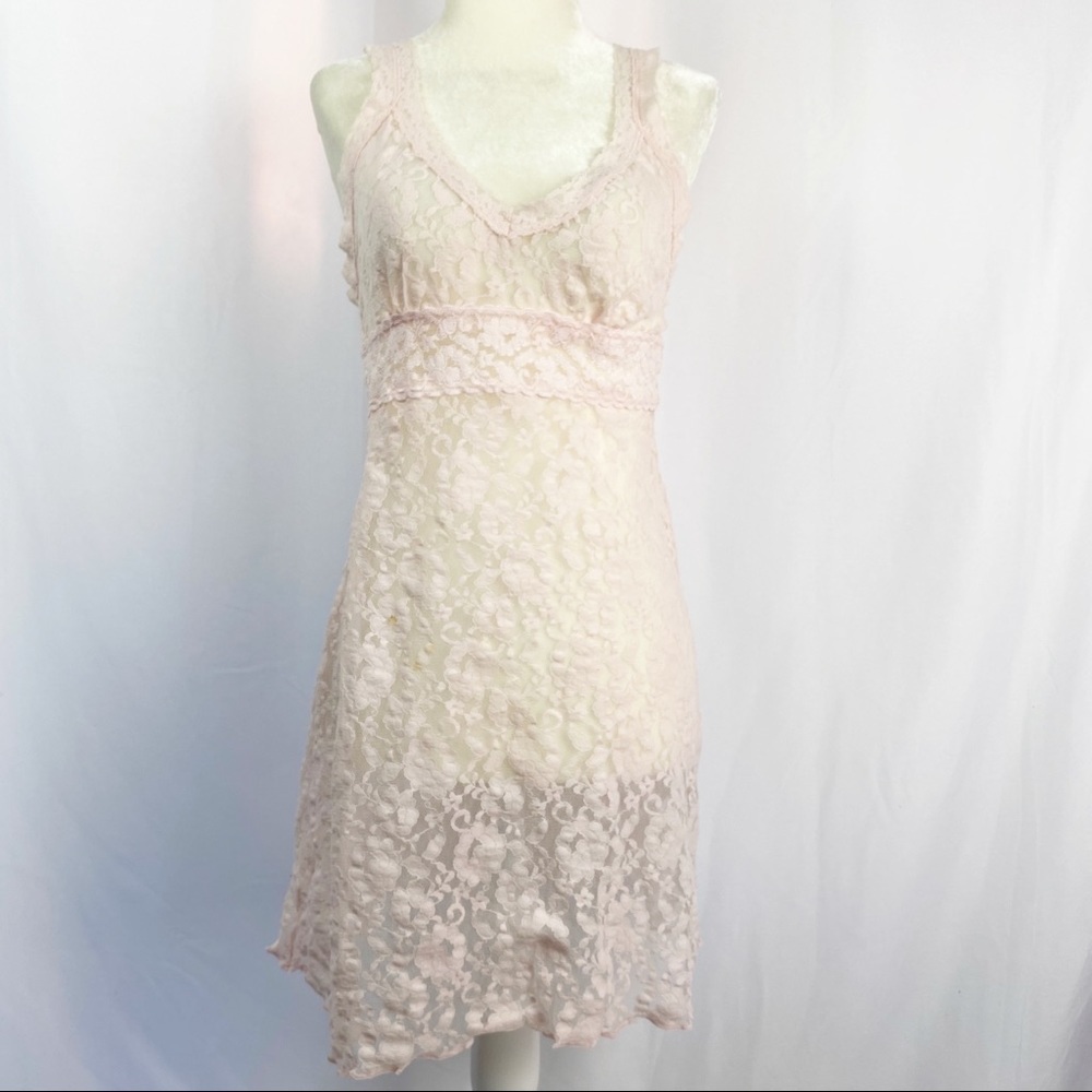Ambrielle Nightie-Light Pink Lace-Sheer Nightgown